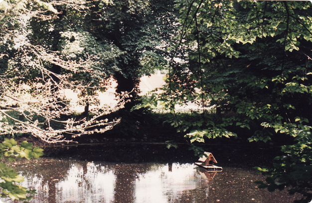 thepond-2.jpg