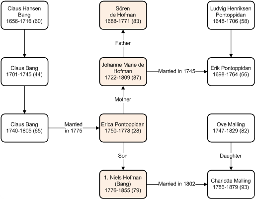 The blood connection between the de Hofman and Niels Hofman (Bang)